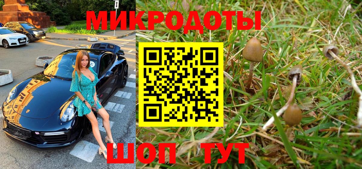 Псилоцибиновые грибы Cubensis Сердобск