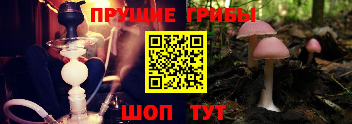 Псилоцибиновые грибы GOLDEN TEACHER  Псилоцибиновые грибы ЛСД  Вход с VPN  Сердобск 